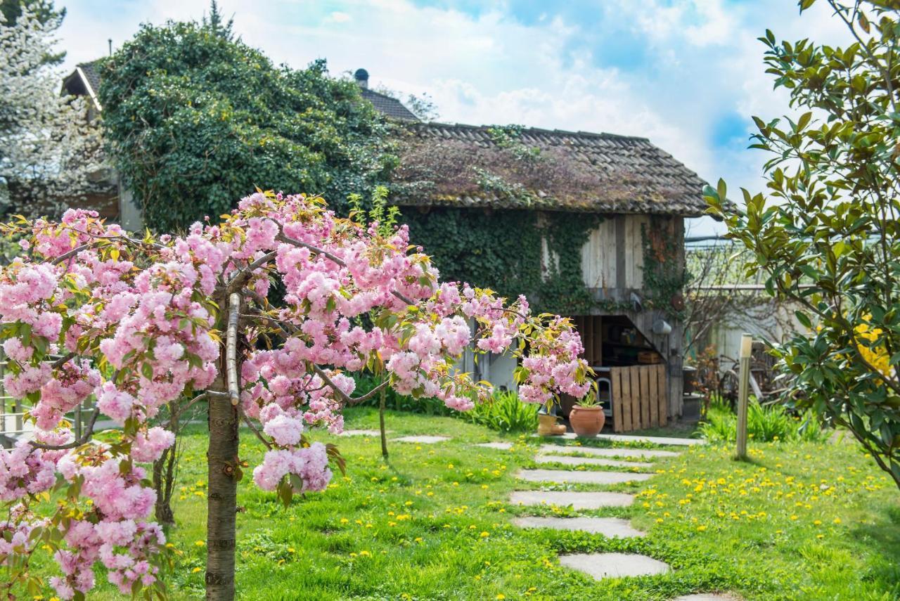 Villa Sonnenschein 特尔拉诺 外观 照片