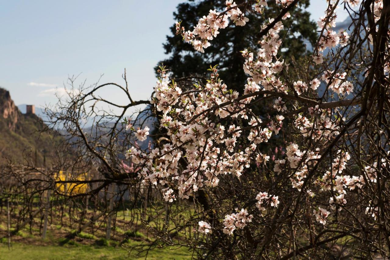 Villa Sonnenschein 特尔拉诺 外观 照片